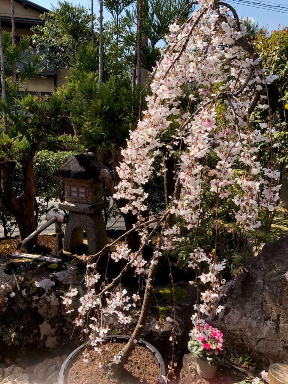 Hostel Kyoto Arashiyama Muko Extérieur photo